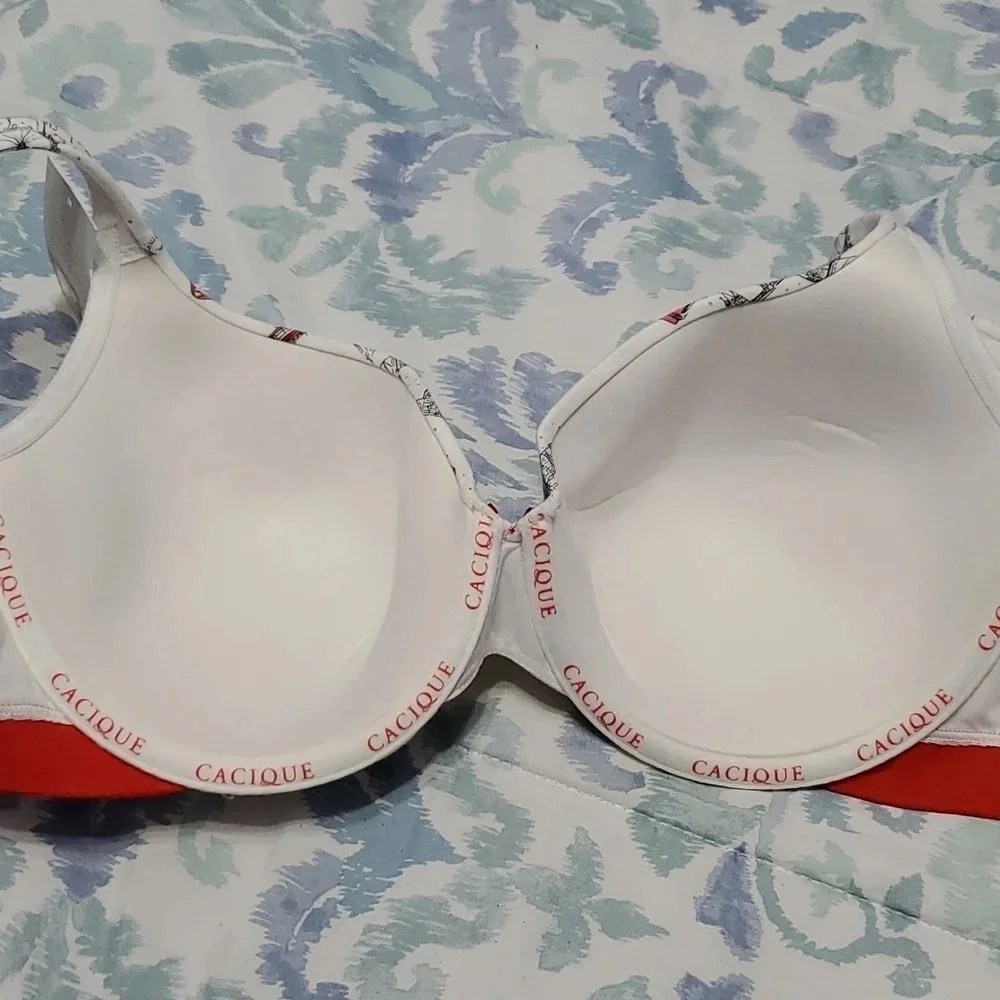 Cacique lightly lined